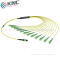 10G MTP / MPO Trunk cable assemblies